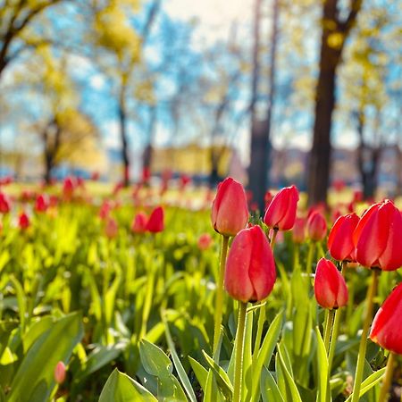 Schoene Aussichten Mitten In Berlin - Il Sole Екстер'єр фото