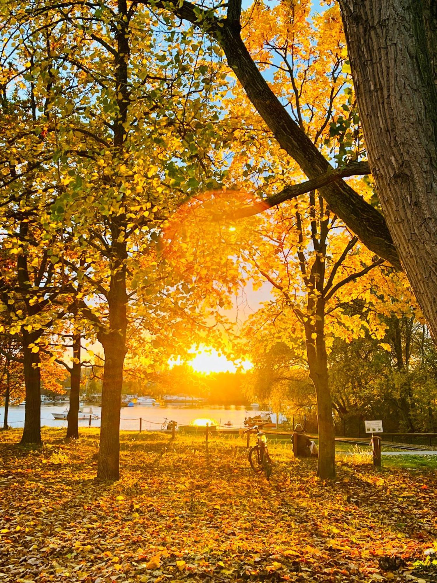 Schoene Aussichten Mitten In Berlin - Il Sole Екстер'єр фото